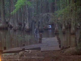 swamp thing (1982)